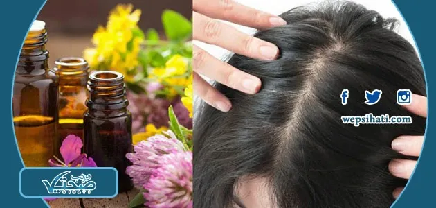تجربتي مع الزنجبيل لفراغات الشعر