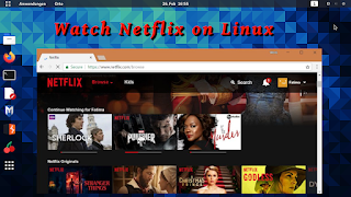 watch Netflix on Linux