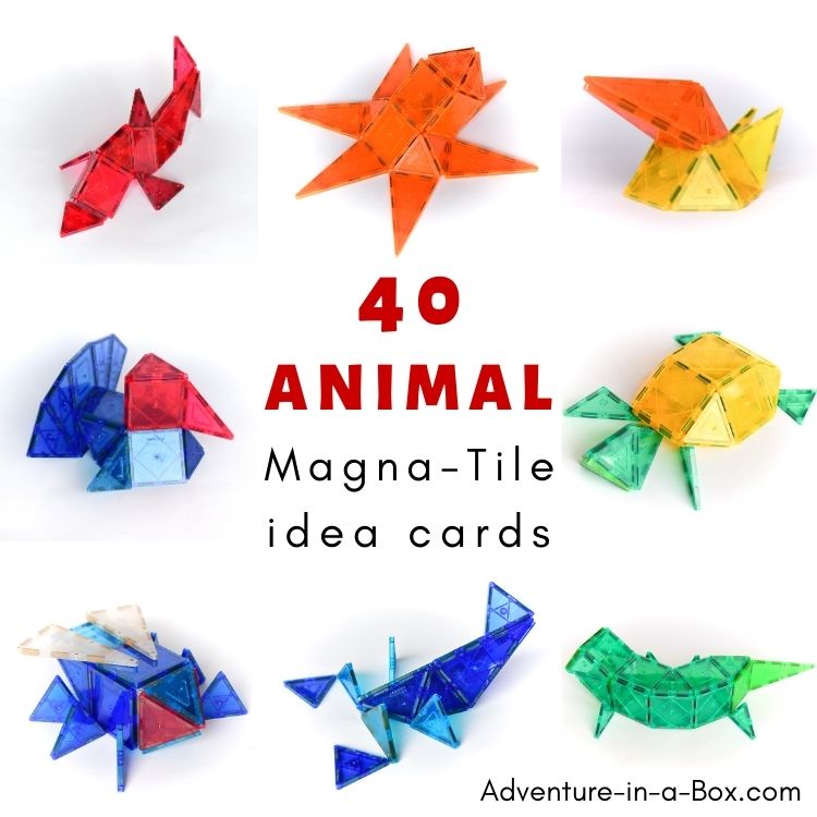 Animal magnatile idea cards