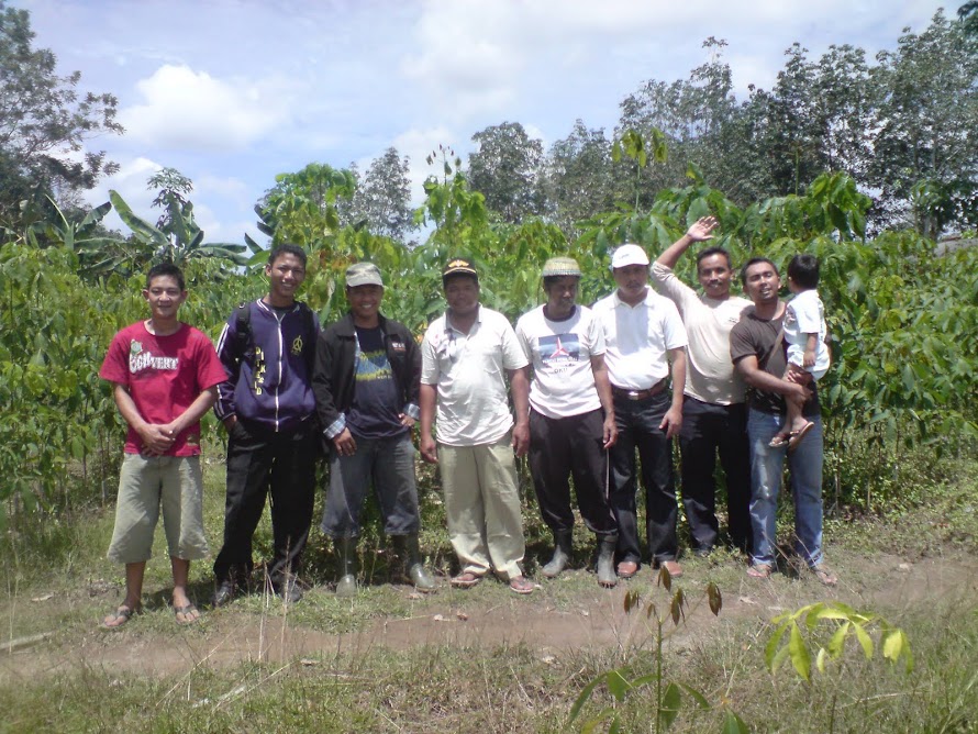 TEAM WORK PT. PPA BATUMARTA ( PEMBIBITAN KARET)