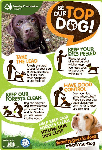 Superworm Trail & Dog Friendly Walks at Hamsterley Forest  - dog info