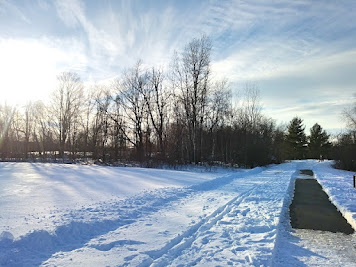 field with snow, trees in the distance, path to the right