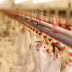   Ήπειρος:Προληπτικά μέτρα για τη γρίπη των πτηνών