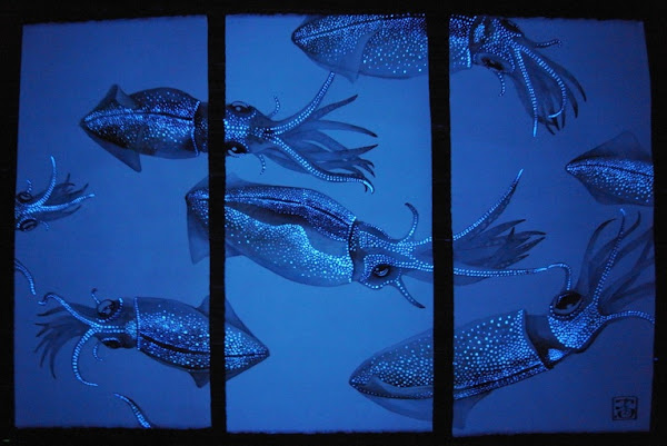 Triptych painting of sparkling blue firefly squid