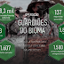 Governo Federal lança segunda edição da Operação Guardiões do Bioma