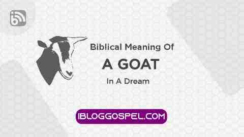 Biblical Meaning Of A Goat In A Dream