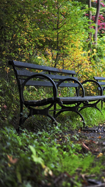 Wallpaper Park Benches, Garden, Forest