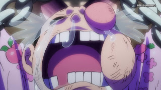 ワンピースアニメ ワノ国編 995話 ONE PIECE 光月モモの助 MOMONOSUKE CV.折笠愛