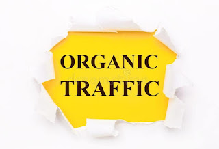I love organic traffic