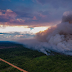 Destruição de floresta em área da BR-319 é recorde e maior parte está no Amazonas