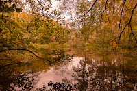 Naturfotografie Herbstfarben Olaf Kerber