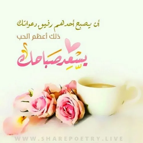 beautiful morning dua subha bakhair pics