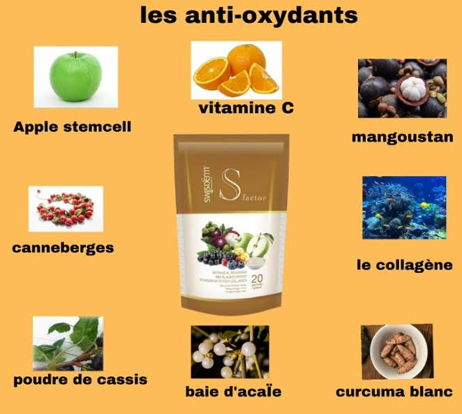 Les cellules souches infuseront et provoqueront ou induiront les cellules souches de la personne à travers le système nerveux central à se multiplier et à devenir l'une des cellules endommagées. Cela restaurera et corrigera la fonction de l'organe endommagé.