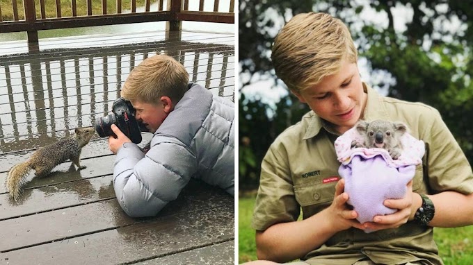 50 Photos to Prove That Steve Irwin’s Son is  an Award Winning Photographer