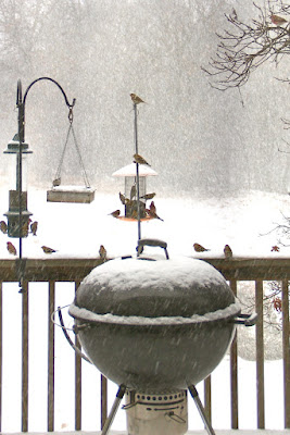 feeders during February snowfall
