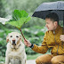 Υπάρχει ομπρέλα που μπορεί να προστατεύσει έναν μεγαλόσωμο σκύλο από την βροχή; 