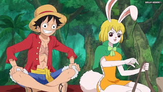 ワンピースアニメ ゾウ編 775話 | ONE PIECE Episode 775