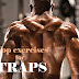 TOP 4 exercises for bigger traps - fitROSKY