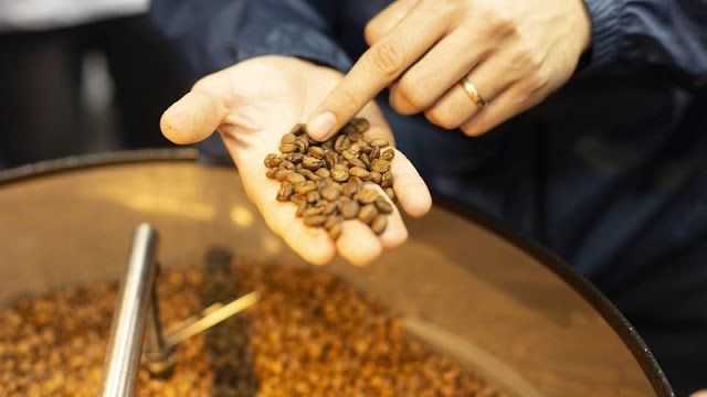 Preço do café bate recorde com demanda em alta e condições climáticas adversas