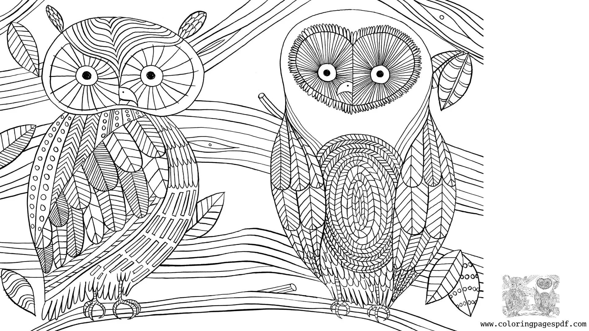 Coloring Pages Of Two Owls Plants Mandala