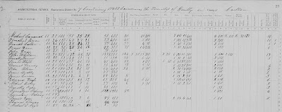 Census of 1861, Canada West, Carleton, Township of Huntley, Enumeration District No. 7, p 23 [stamped]; RG 31; digital images, Library and Archives Canada, Library and Archives Canada (www.bac-lac.gc.ca : accessed 16 Feb 2022); citing Library and Archives Canada microfilm C-1013.