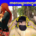 VN France
