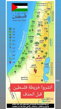 خريطة فلسطين العربيّة