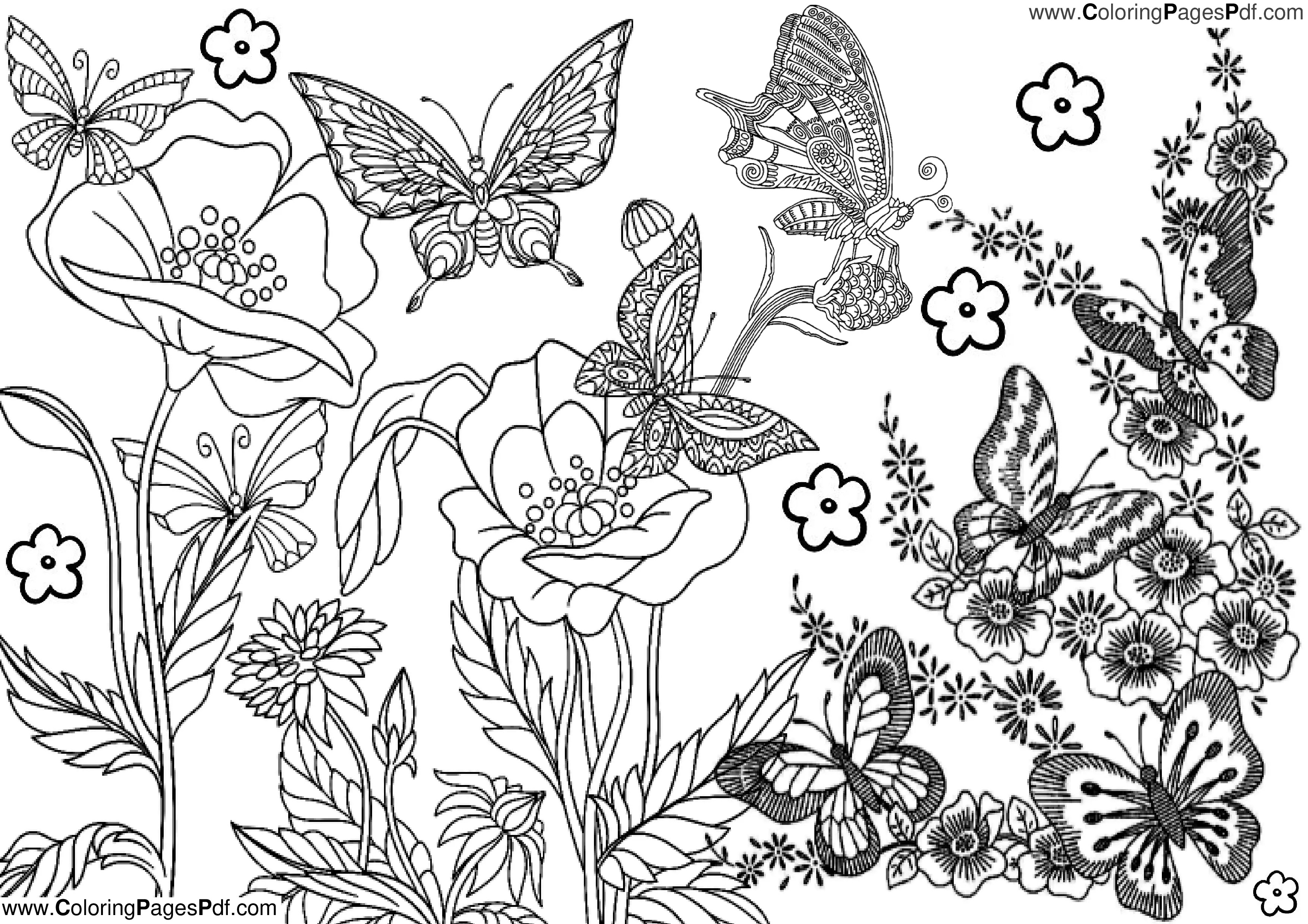 Coloring pictures of Flowers and Butterflies