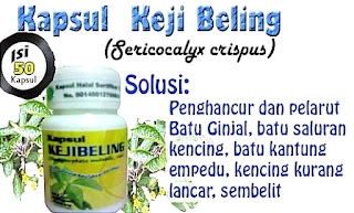 Jual Kapsul Kejibeling obat herbal batu ginjal di jakarta