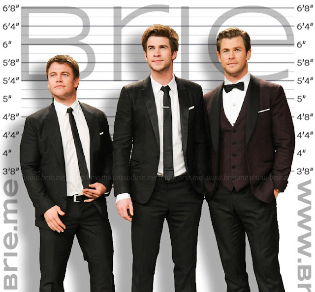 Luke Hemsworth standing with Liam and Chris Hemsworth in front of a height chart background