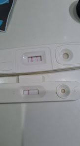 Pregnancy Test Results