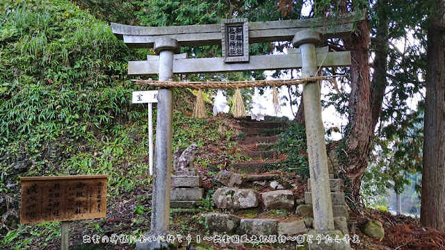 須我神社　境外摂社　参道鳥居