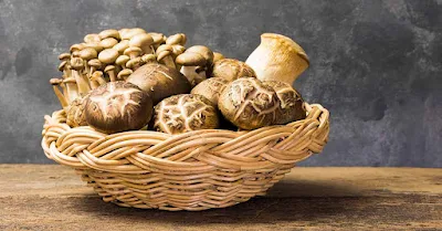 Edible mushroom contain higher amount of.