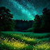 fireflies dancing in the night 4K Wallpaper for iPhones
