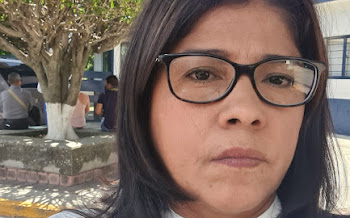 Ana Luisa dedicó 10 años a buscar al feminicida de su hija… hasta que la asesinaron