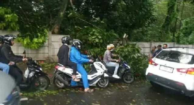 Bandung dilanda hujan es disertai angin banyak pohon tumbang hingga menutupi jalan raya 2023