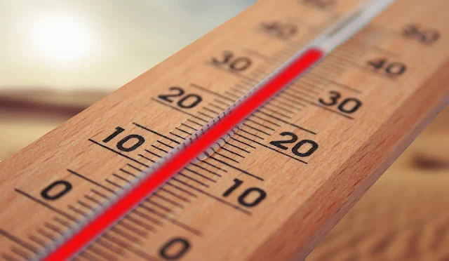 How to Measure Temperature With a Thermometer