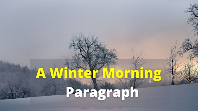 a-winter-morning-paragraph