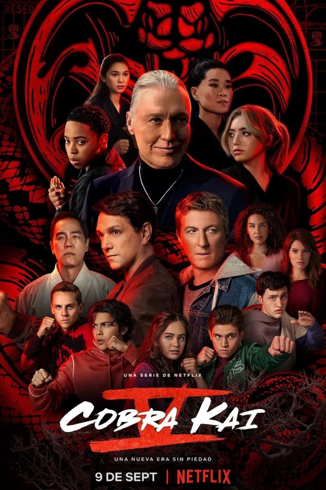 portada de la serie Cobra Kai - Temporada 5 latino descargar mega