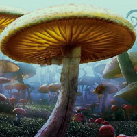 Games2rule-Fantasy Mushroom Land Escape