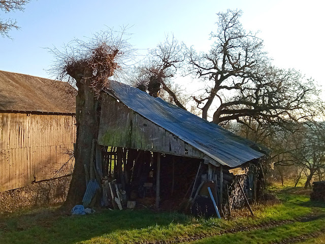 Shed, Indre et Loire, France. Photo by Loire Valley Time Travel.