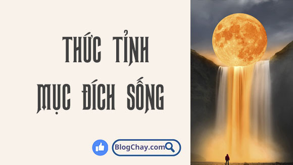 thuc-tinh-muc-dich-song-review