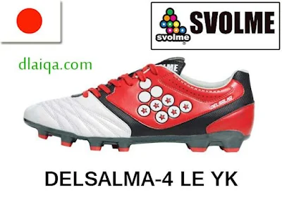 Svolme Delsalma-4 LE YK