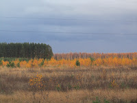 ПВД3Д - Велопоход с пакрафтом по окрестностям Оки в середине октября. 