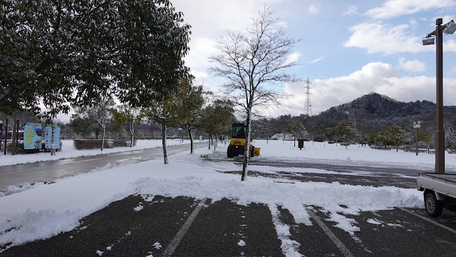 2月のとっとり花回廊の駐車場