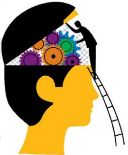 cerebro