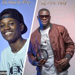 (Afro House) Dj Mario Pro - Bota Fogo (feat. Dj Fire Tati) (2022)