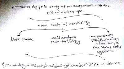 أساسيات الميكروبيولوجي pdf