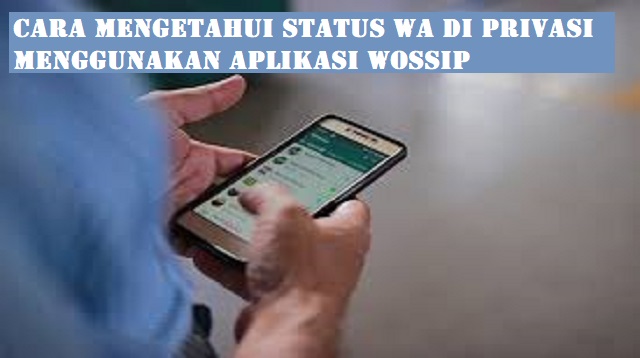 Cara Mengetahui Status WA di Privasi