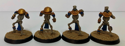 Tomb Kings Blood Bowl Anointed Blitzers and Throwers Painted Back